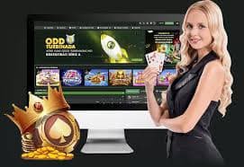 118 bet login